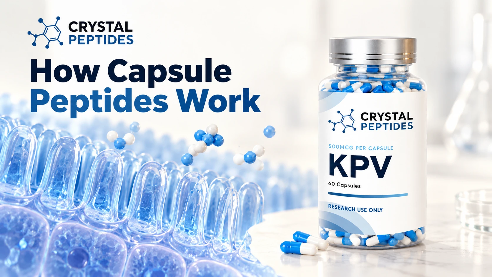 Bočica kapsula KPV marke Crystal Peptides uz konceptualni prikaz crijevne površine.