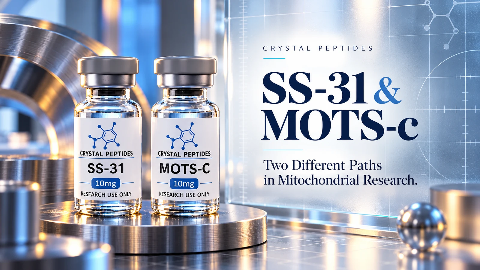 Urednička ilustracija proizvoda: SS-31 / MOTS-c — Crystal Peptides.